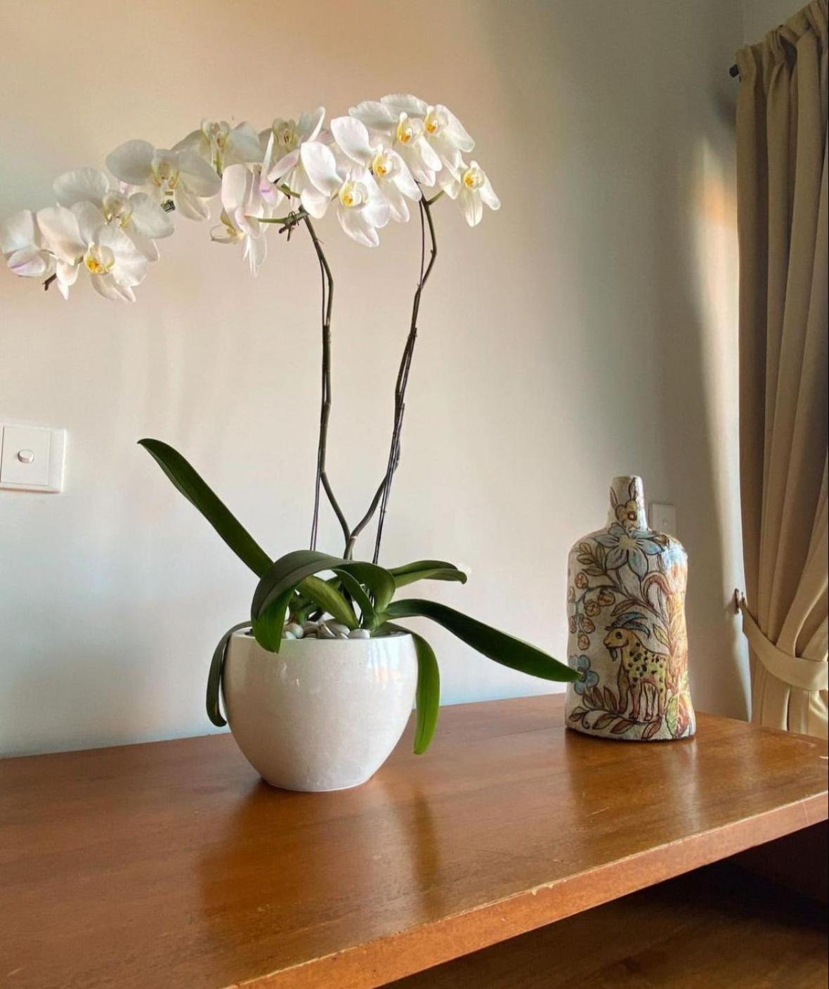 Jumah Apartemen Sanur (Bali)